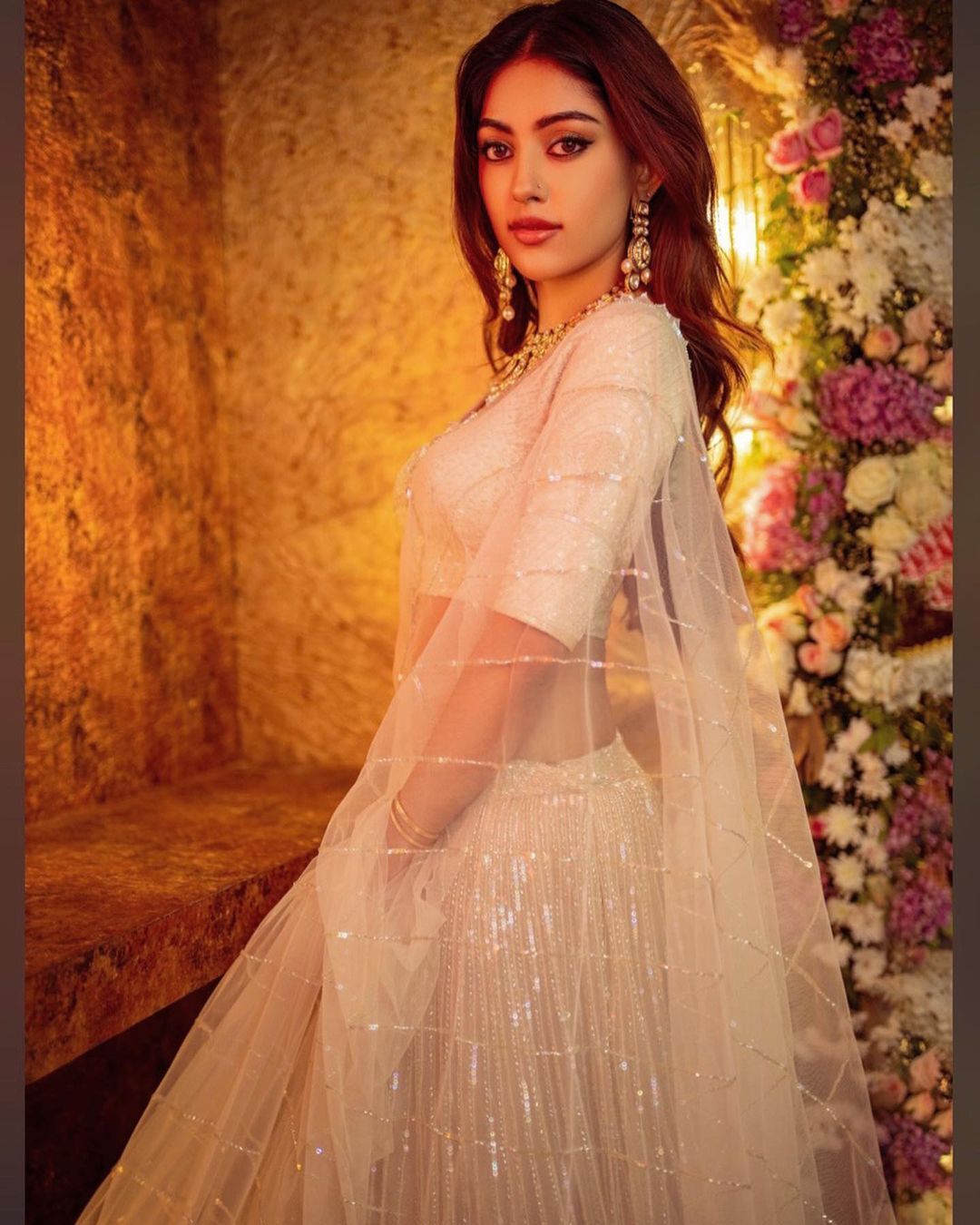 Anu Emmanuel: ശരിക്കും രാജകുമാരിയെപ്പോലെ... സാരിയിൽ തകർപ്പൻ ലുക്കിൽ അനു ഇമ്മാനുവൽ