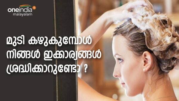 Hair Care: മുടിയില്‍ ഷാംപൂവും എണ്ണയും തേച്ചോളൂ...പക്ഷേ ഇക്കാര്യങ്ങള്‍ ശ്രദ്ധിക്കാന്‍ വിട്ടുപോകരുത്‌