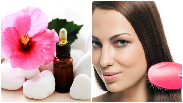 മുടി തഴച്ച് വളരാൻ ചെമ്പരത്തി മതി; പക്ഷേ ഇക്കാര്യങ്ങൾ ശ്രദ്ധിക്കണം