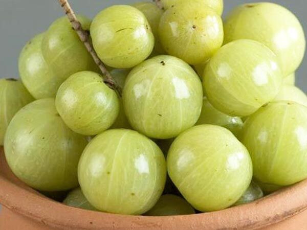 Hair loss: മുടി കൊഴിച്ചിലാണോ നിങ്ങളുടെ പ്രശ്നം; ഇതാ നെല്ലിക്കയിലുണ്ട് പരിഹാരം, താരനും അത്ഭുത മരുന്ന്