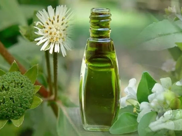  Hair tips-മുടി മുട്ടോളം എത്തും,കൊഴിച്ചൽ നിൽക്കും, പൊടിക്കൈ ആയുർവേദത്തിൽ ഉണ്ട്, അറിയാം മാസ്കുകൾ