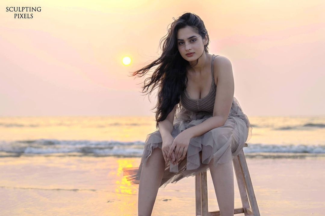 PHOTOS : டைட் டாப்பில் வசீகரிக்கும் அழகில் ஆயிஷா கான்.. கிறங்கடிக்கும் நச் போட்டோஸ் இதோ!