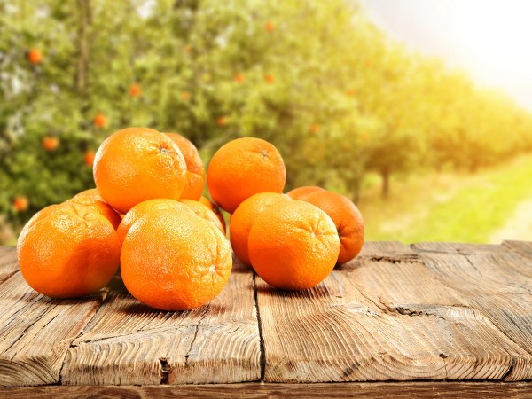 Skin: ചര്‍മം ബോളിവുഡ് നടിമാരെ പോലെ തിളക്കമുള്ളതാക്കണോ? ഈ 6 കാര്യങ്ങള്‍ ദിവസവും മുടക്കരുത്