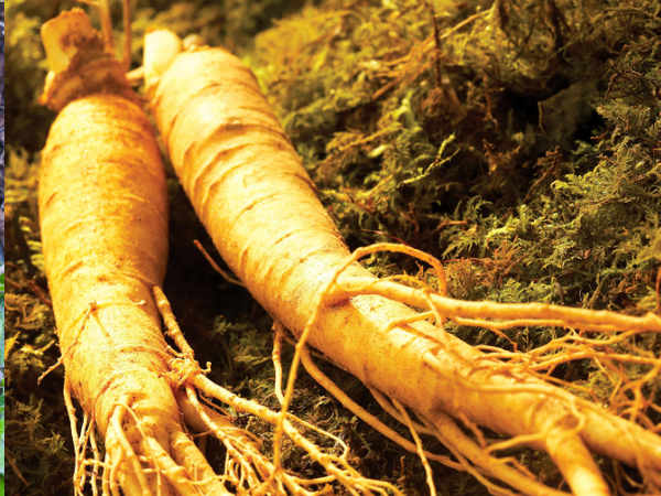 SKIN: മുഖം വെട്ടിത്തിളങ്ങും, കണ്ണെടുക്കാനേ തോന്നില്ല; ചര്‍മകാന്തിക്ക് ഈ സ്‌കിന്‍ കെയറുകള്‍ ഉപയോഗിക്കൂ!!