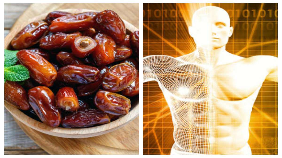 Dates Health Benefits: ഈന്തപ്പഴം കുതിർത്ത് കഴിച്ചാല്‍ നേട്ടം പലവിധം: ലൈംഗിക ശക്തി വർദ്ധിപ്പിക്കും, ഭാരം കുറയ്ക്കാനും ഉത്തമം
