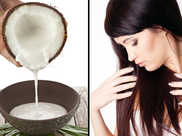 Hair Growth: ഒരു കപ്പ് തേങ്ങാപ്പാല്‍ എടുക്കാനുണ്ടോ? എങ്കില്‍ മുടികൊഴിച്ചില്‍ പമ്പ കടക്കും