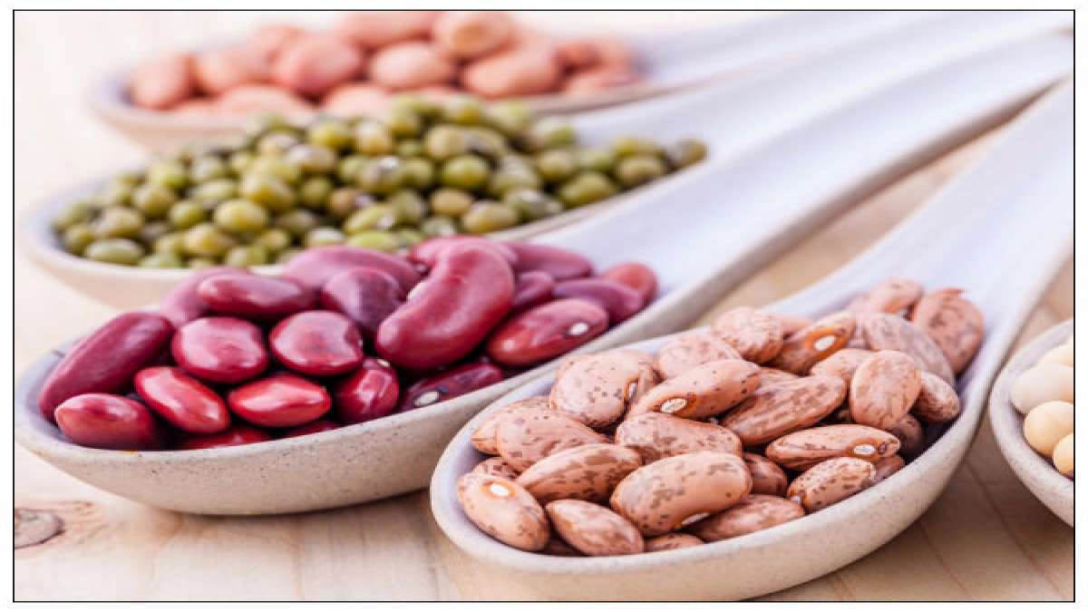 Hair Growth: മുടി തഴച്ച് വളരും, ഡയറ്റില്‍ ഇതൊന്ന് ഉള്‍പ്പെടുത്തി നോക്കൂ; ഫലം അത്ഭുപ്പെടുത്തും!!