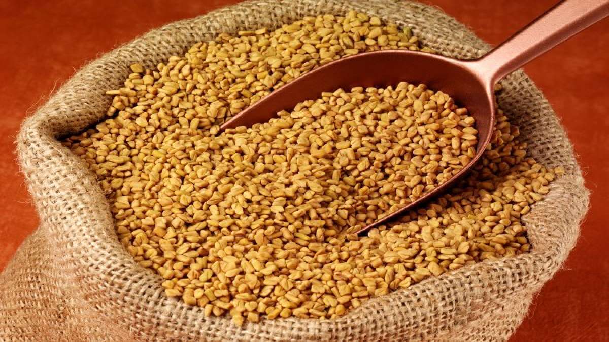 Hair tips: ഉലുവ മുടികൊഴിച്ചിലിനും വളർച്ചയ്ക്കുമുള്ള അത്ഭുത മരുന്ന്: പക്ഷെ എങ്ങനെ ഉപയോഗിക്കണം