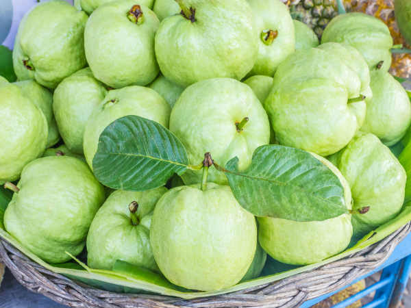 നിസാരക്കാരനല്ല പേരക്ക: കണ്ണ് മുതല്‍ ഹൃദയം വരെ സംരക്ഷിക്കും, അറിയാം അത്ഭുത ഗുണങ്ങള്‍