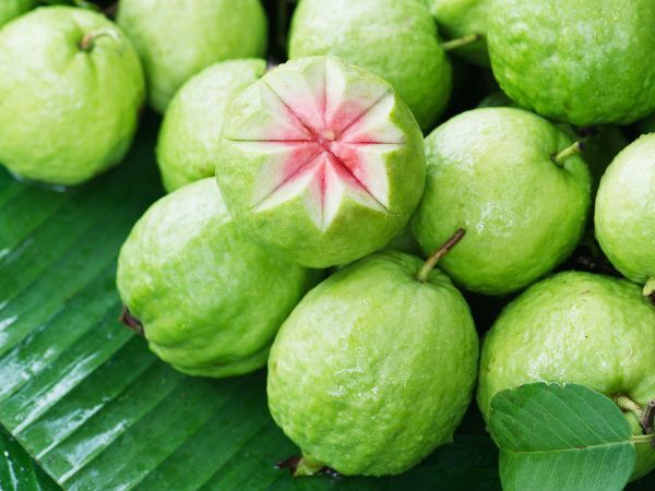 നിസാരക്കാരനല്ല പേരക്ക: കണ്ണ് മുതല്‍ ഹൃദയം വരെ സംരക്ഷിക്കും, അറിയാം അത്ഭുത ഗുണങ്ങള്‍