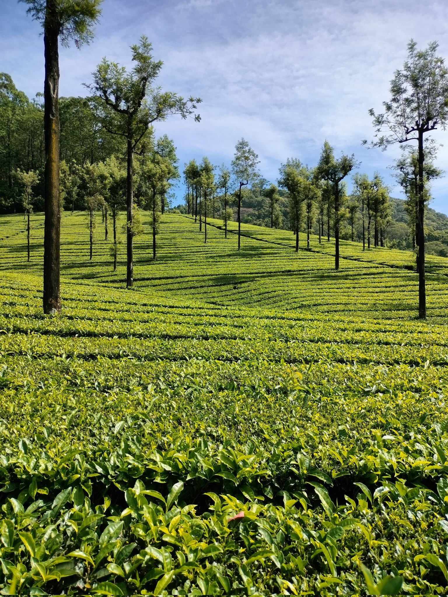 ഇതൊക്കെ ഇന്ത്യയില്‍ തന്നെയാണോ? കേട്ടിട്ട് പോലുമുണ്ടാവില്ല; പക്ഷേ ട്രിപ്പിന് പൊളിയാണ്, ഒന്ന് പോയി നോക്കൂ!!