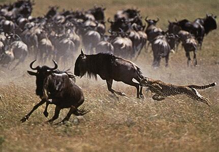 ഒരിക്കല്‍ പോയാല്‍ തിരിച്ചുവരാന്‍ തോന്നില്ല, യാത്രയ്ക്ക് കാശ് വേണം, പൈസ വസൂല്‍ ട്രിപ്പ് ഉറപ്പ്