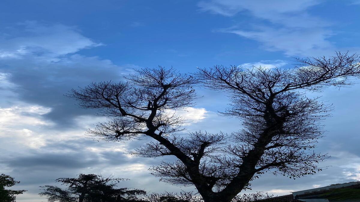 മുംബൈക്ക് ഇത്ര ലുക്കോ; ഇതാ കാണേണ്ട സ്ഥലങ്ങള്‍, എല്ലാം ഒന്നിനൊന്ന് സൂപ്പര്‍!!