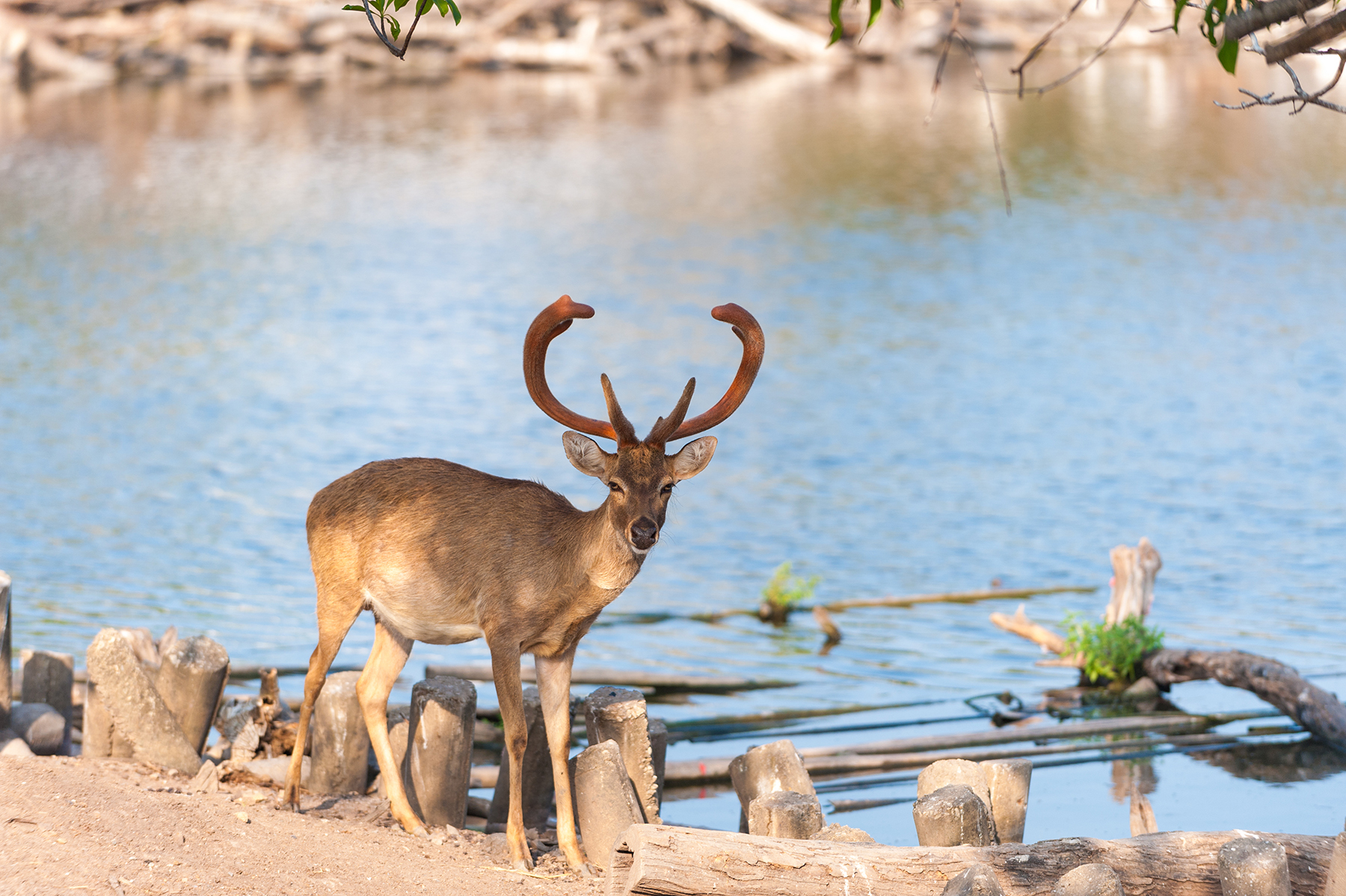 എന്താ ലുക്ക്, ബാങ്കോക്കിന് ഇത്രയും ഭംഗിയോ; ഒരിക്കലെങ്കിലും കണ്ടിരിക്കണം ഈ നഗരങ്ങള്‍