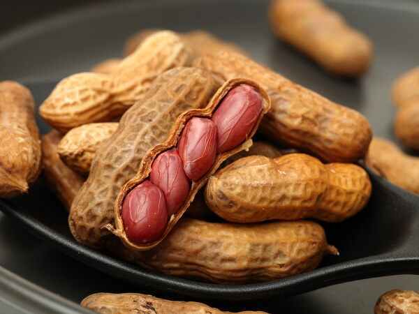 Groundnuts: വിശപ്പും മാറും മുടിയും വളരും: അറിയാം നിലക്കടലയുടെ അപൂർവ്വ ഗുണങ്ങള്‍