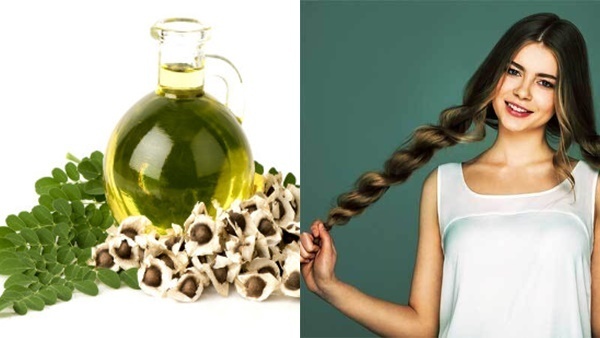 Hair Care: താരന് മാത്രമല്ല, അകാലനരയ്ക്കും മുടിവളർച്ചയ്ക്കും അത്യുത്തമം: മുരിങ്ങയിലെ മുടിയെ ഔഷധക്കൂട്ട്