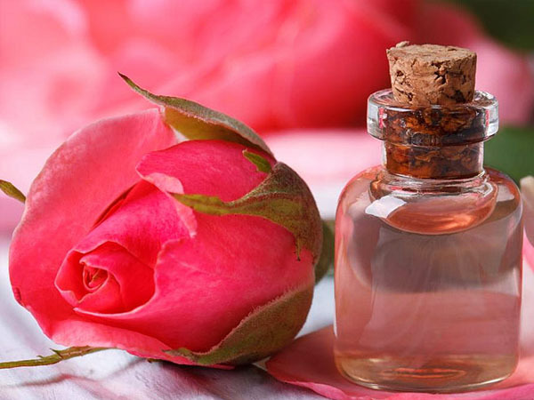 Hair Care: റോസ് വാട്ടർ പൊളിയാണ്, മുടിയുടെ ശക്തിമരുന്നത്: ഗുണങ്ങളേറെ, എങ്ങനെ ഉപയോഗിക്കണം