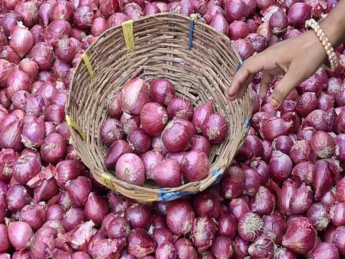 Hair Care: അല്‍പം ഉള്ളി നീരുണ്ടോ? എങ്കില്‍ മുടികൊഴിച്ചിലും താരനും ഒരു പ്രശ്നമല്ല