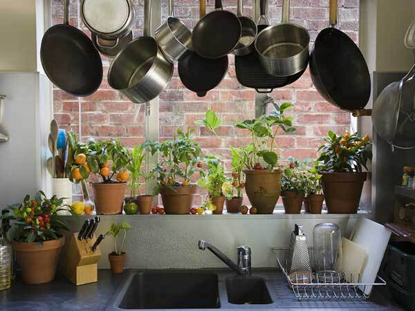 Vastu tips for kitchen: പൈപ്പിനടുത്ത് ഗ്യാസ് സ്റ്റൗവ് വെച്ചാല്‍ വീട്ടില്‍ വഴക്ക്; അടുക്കളയിലാണ് കാര്യമെന്ന് വാസ്തു