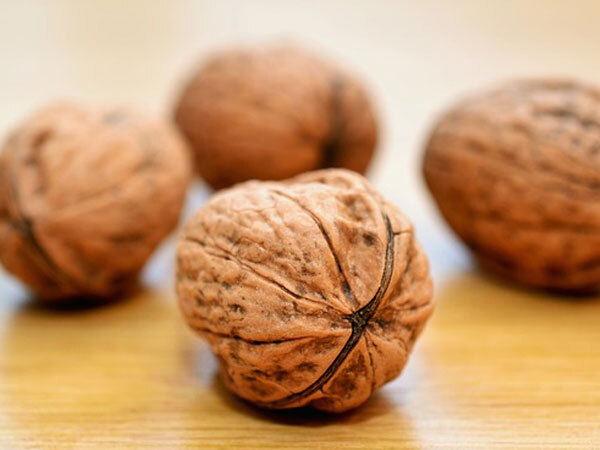 Walnut- വാൾനട്ട് ഡയറ്റിൽ ഉൾപ്പെടുത്താം, ചില്ലറയല്ല ഗുണങ്ങൾ, അറിയാം