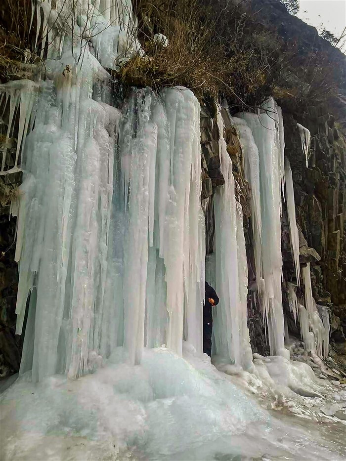 Winter At Its Peak; Cold Wave Causes Chaos In Northern India