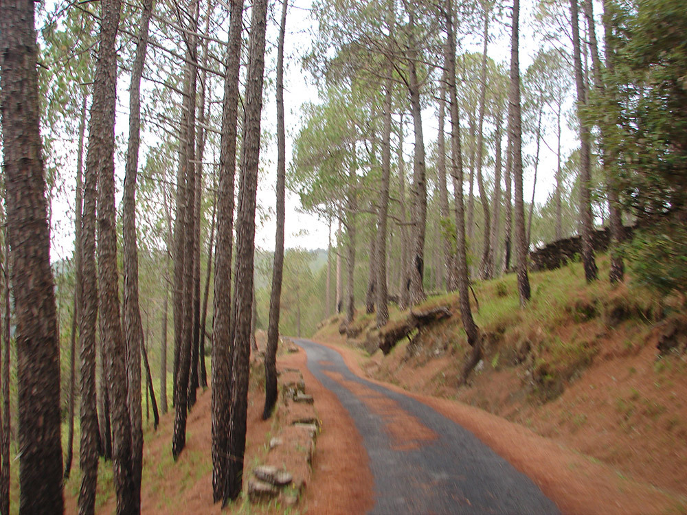 5000 രൂപയുണ്ടോ; എങ്കില്‍ ഈ യാത്ര ഗംഭീരമാക്കാം, ഉറപ്പായും കണ്ടിരിക്കണം ഈ സ്ഥലങ്ങള്‍