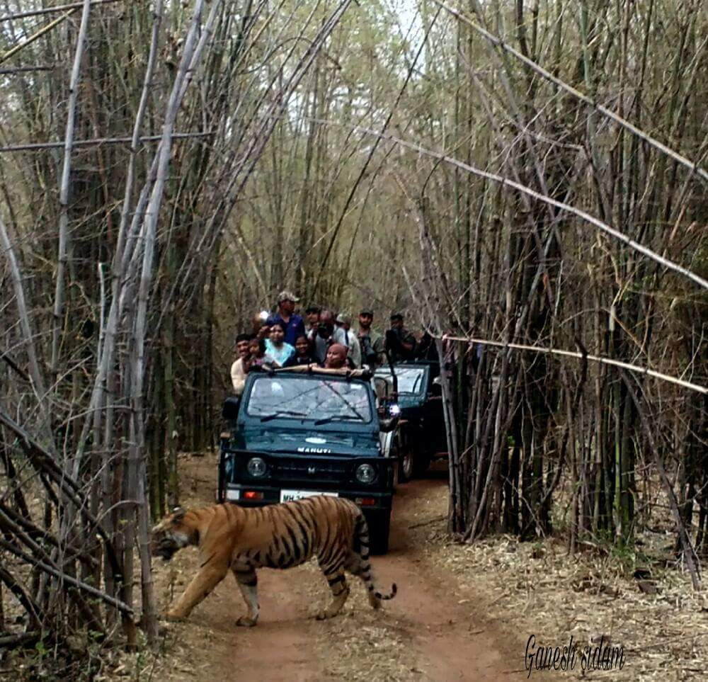 വാലന്റൈന്‍സ് ദിനത്തില്‍ ഒന്ന് പ്രണയിച്ചാലോ, ഈ യാത്ര ഒഴിവാക്കരുത്, പോയാല്‍ കളറാകും