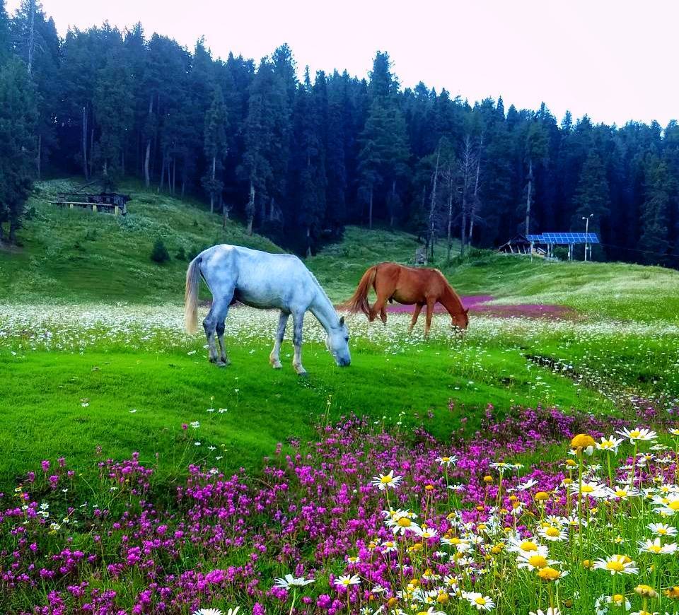 ഇതൊക്കെ കണ്ടാല്‍ പോവാതിരിക്കുന്നത് എങ്ങനെ, ഇന്ത്യയിലെ ഈ സ്ഥലങ്ങള്‍ ഏജ്ജാതി ലുക്കാണ്