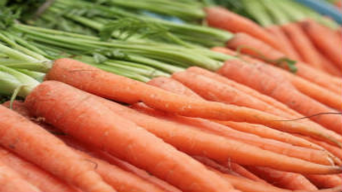 Carrot Benefits: കാരറ്റ് കഴിച്ചാല്‍ പലതുണ്ട് ഗുണം, കണ്ണിന് മാത്രമല്ല, മുടി വളർച്ചയ്ക്കും അത്ഭുത മരുന്ന്
