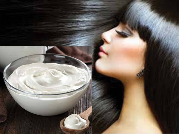 Hair Care: മുടി കൊഴിച്ചില്‍ സ്വിച്ചിട്ട പോലെ നില്‍ക്കും, താരനും മാറും: തൈരും നാരങ്ങാ നീരും ചേരും അത്ഭുതക്കൂട്ട്