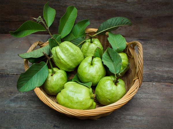 Health Tips: നിസാരക്കാരല്ല പേരയില.. ഗുണങ്ങള്‍ കേട്ടാല്‍ അമ്പരക്കും