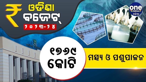 ଗ୍ରାଫିକ୍ସରେ ଓଡିଶା ବଜେଟ୍ ୨୦୨୩-୨୪...