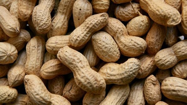 Peanuts Benefits: മുടികൊഴിച്ചില്‍ ഇനിയൊരു പ്രശ്നമല്ല; പരിഹാരമായി നിലക്കടലയുണ്ട്