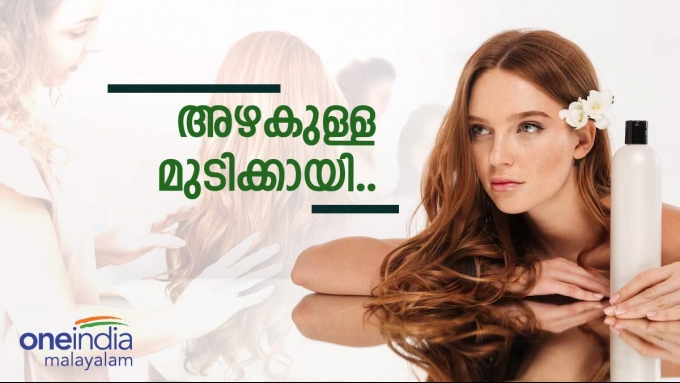hair care: മുടി പട്ടുപോലെ മിനുസമുള്ളതാകും..മുടിയഴകിന് ഇതാ  ഒരു മാജിക്..ഫലം ഉറപ്പ്