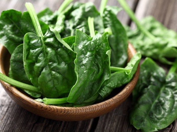 Spinach Benefits: ഇലക്കറികളിലെ ഒരു സൂപ്പർസ്റ്റാറാണ് ചീര, കണ്ണിന് മുതല്‍ മുടിക്ക് വരെ ആരോഗ്യപ്രദം