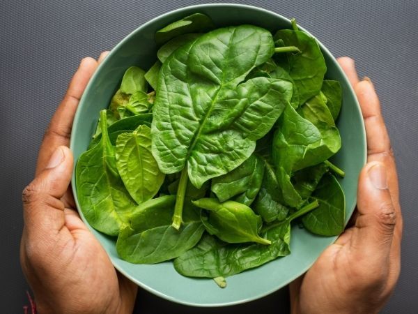 Spinach Benefits: ഇലക്കറികളിലെ ഒരു സൂപ്പർസ്റ്റാറാണ് ചീര, കണ്ണിന് മുതല്‍ മുടിക്ക് വരെ ആരോഗ്യപ്രദം