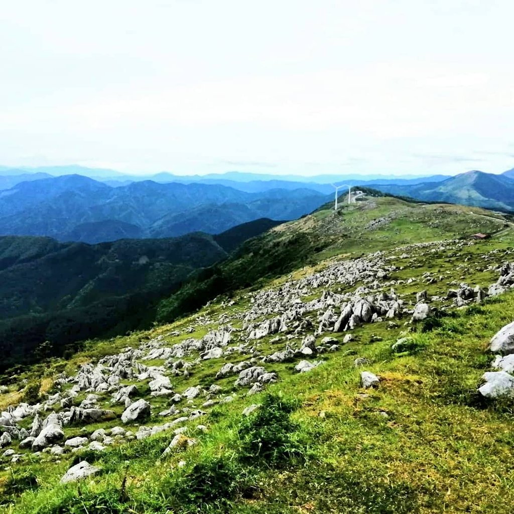 ലുക്കില്‍ ആരും തോറ്റുപോകും, ജപ്പാന്‍ സ്വര്‍ഗ തുല്യം, ട്രിപ്പടിക്കാനാണെങ്കില്‍ ഇന്ന് തന്നെ വിട്ടോളൂ