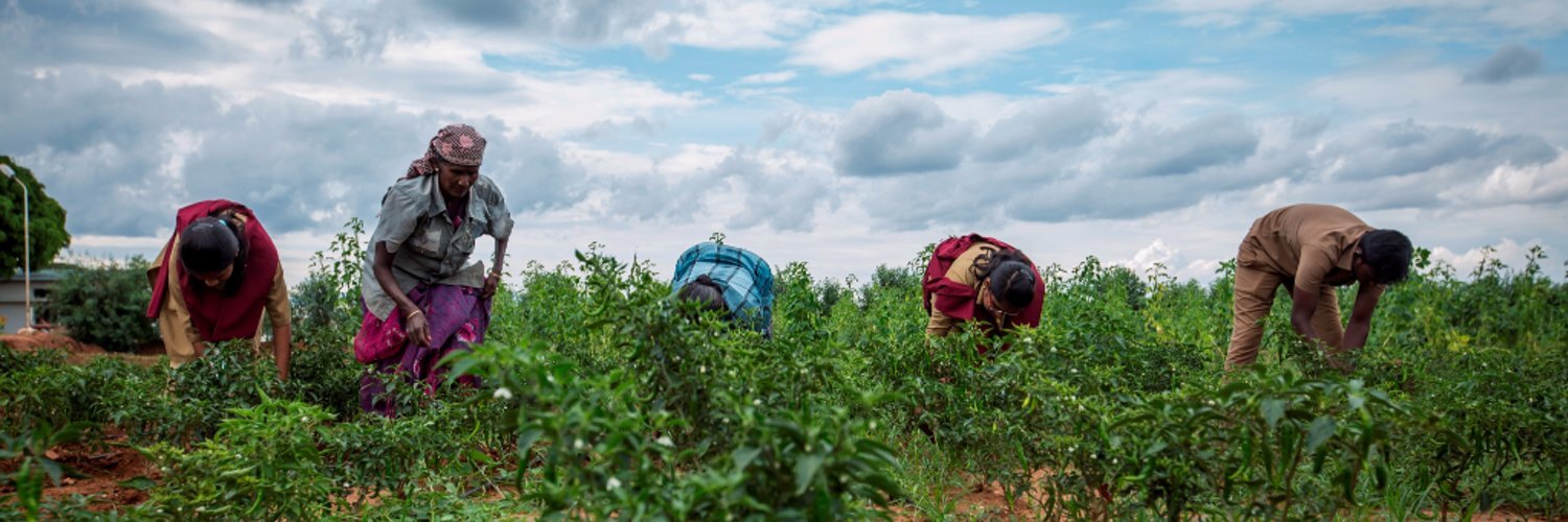 ചാറ്റല്‍ മഴ, ഒരിത്തിരി തണുപ്പ്, സമ്മര്‍ ട്രിപ്പിന് ഇതൊക്കെ കിട്ടിയാലോ? ഇതെല്ലാം ഭൂമിയിലെ ഗന്ധര്‍വലോകം