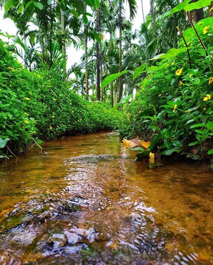 ചാറ്റല്‍ മഴ, ഒരിത്തിരി തണുപ്പ്, സമ്മര്‍ ട്രിപ്പിന് ഇതൊക്കെ കിട്ടിയാലോ? ഇതെല്ലാം ഭൂമിയിലെ ഗന്ധര്‍വലോകം