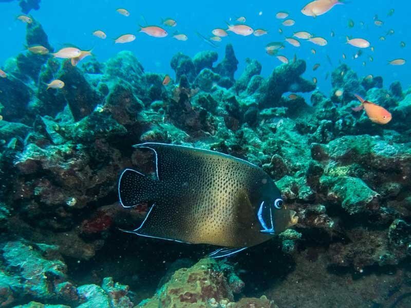 ഒരു സമ്മര്‍ ട്രിപ്പായാലോ: കണ്ടുനോക്കണം ഇന്ത്യയിലെ ഈ കൊച്ചു സ്വര്‍ഗങ്ങള്‍, കണ്ണെടുക്കാനാവില്ല!!