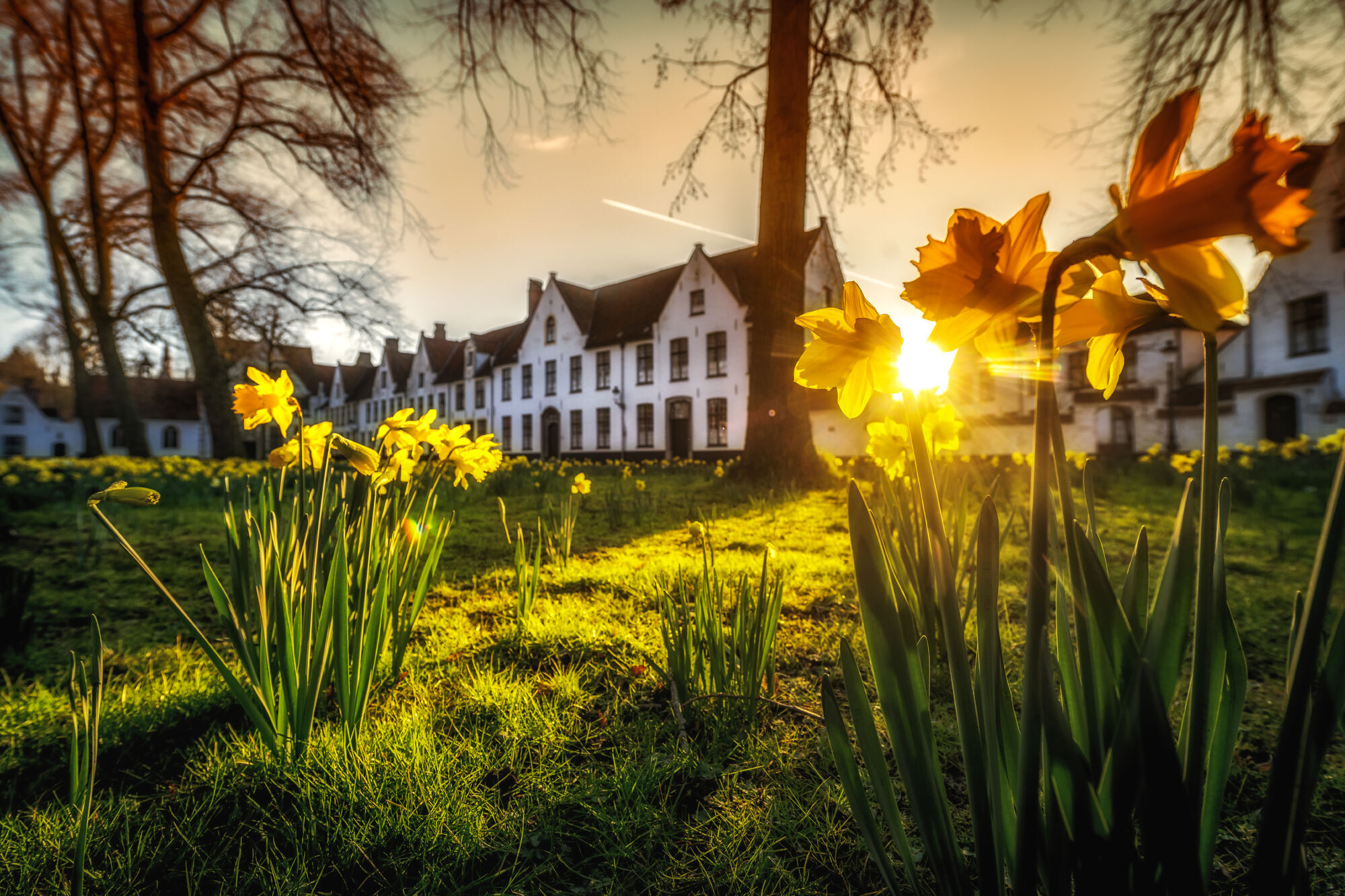 കാണാനോ കേള്‍ക്കാനോ വഴിയില്ല; ഇത് ആരുടെ സ്വപ്‌നത്തിലും വരാത്ത വണ്ടര്‍ലാന്‍ഡ്, ട്രിപ്പ് ഉറപ്പിക്കാം