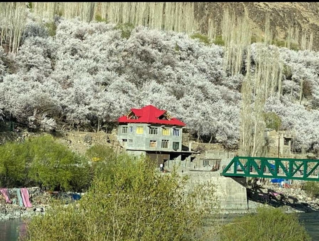 പൂക്കാലം വരവായി, ഇതാ അടിച്ചുപൊളിക്കാന്‍ ഡ്രീം ഡെസ്റ്റിനേഷനുകള്‍; കണ്ടിരിക്കാന്‍ ഇതാ കാരണങ്ങള്‍