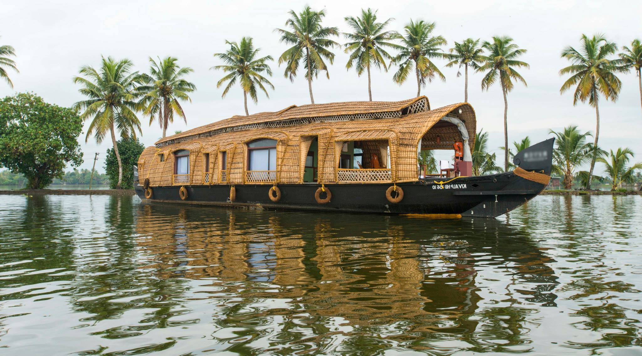 പൂക്കാലം വരവായി, ഇതാ അടിച്ചുപൊളിക്കാന്‍ ഡ്രീം ഡെസ്റ്റിനേഷനുകള്‍; കണ്ടിരിക്കാന്‍ ഇതാ കാരണങ്ങള്‍