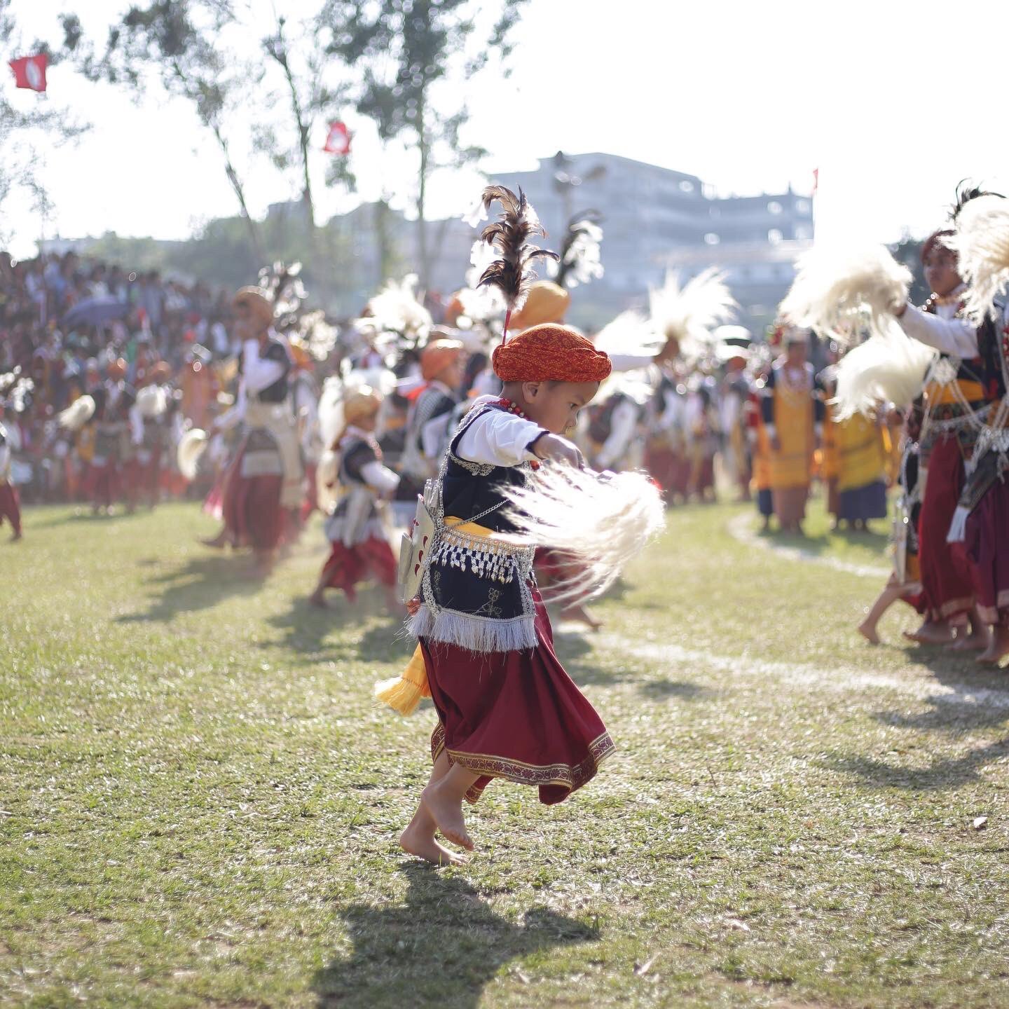 പൂക്കാലം വരവായി, ഇതാ അടിച്ചുപൊളിക്കാന്‍ ഡ്രീം ഡെസ്റ്റിനേഷനുകള്‍; കണ്ടിരിക്കാന്‍ ഇതാ കാരണങ്ങള്‍