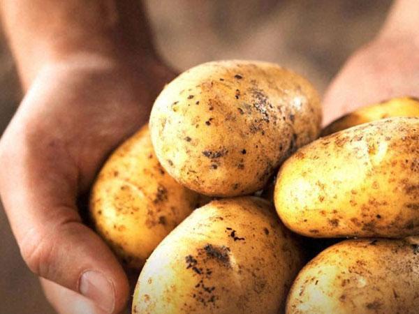 Beauty Tips with Potato: സൗന്ദര്യം കൂട്ടാന്‍ ഉരുളക്കിഴങ്ങോ..? കള്ളമല്ല, സത്യമാണ്