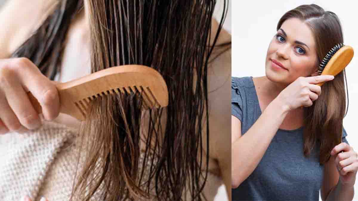 Hair Care Tips:  വേഗം പോയി മരത്തിന്റെ ചീപ്പ് വാങ്ങിക്കോ... മുടി വേഗം വളരും