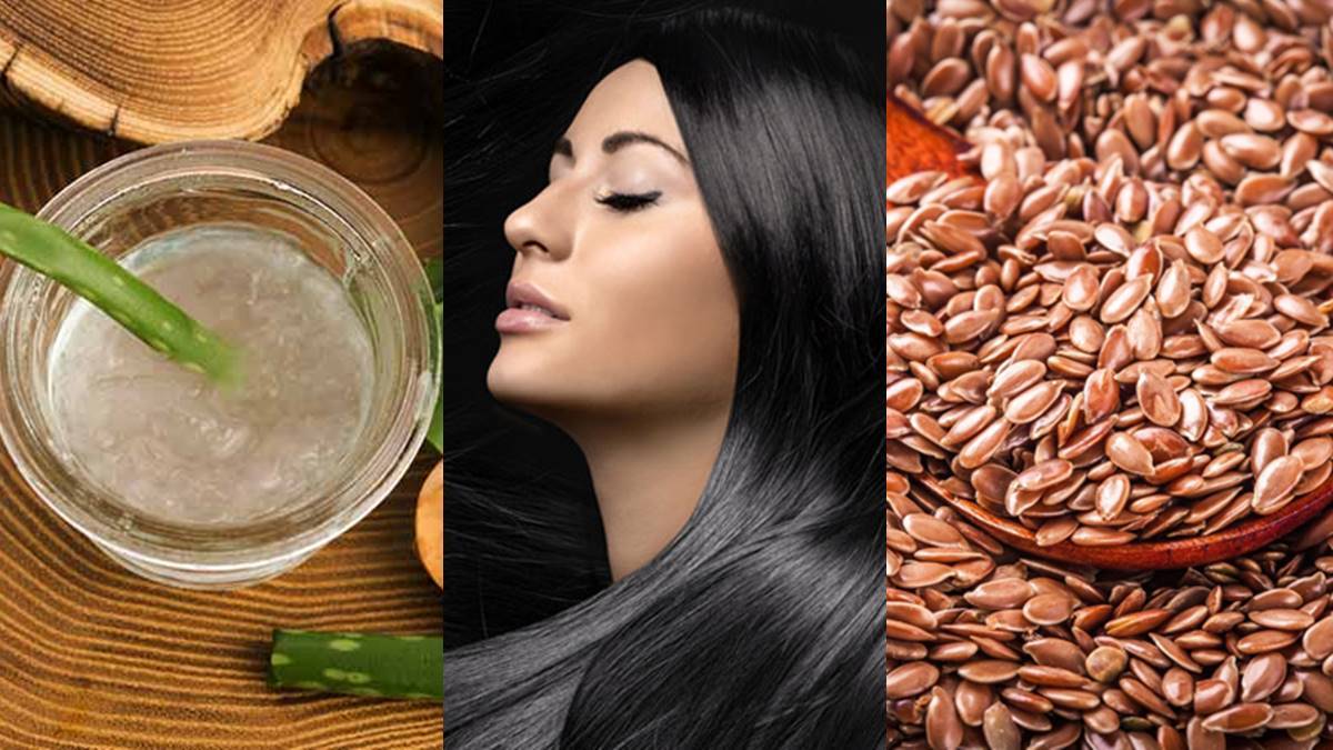  Hair Care; ഇനി മുടി കൊഴിച്ചൽ എന്ന് പറഞ്ഞ് കരയേണ്ട,  ചെയ്യേണ്ടത് ഇത്രമാത്രം 