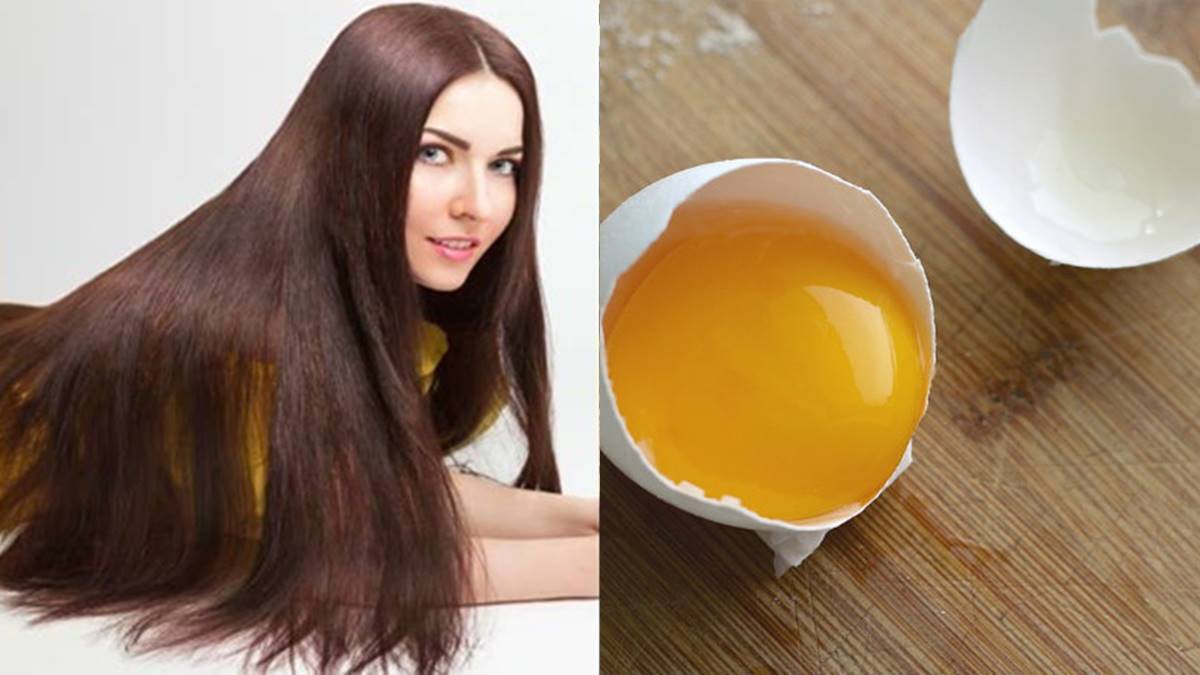 hair care-മുടി വളരാൻ മുട്ടയുടെ മഞ്ഞക്കരുവാണോ വെള്ളയാണോ നല്ലത്? ഇതാ ഉത്തരം