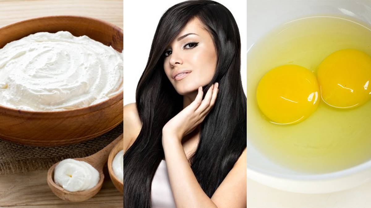  Hair Care-മുടി മുട്ടറ്റം വളരും; തൈരും മുട്ടയും ചേർത്തൊരു കിടിലൻ പ്രയോഗം..അറിയാം