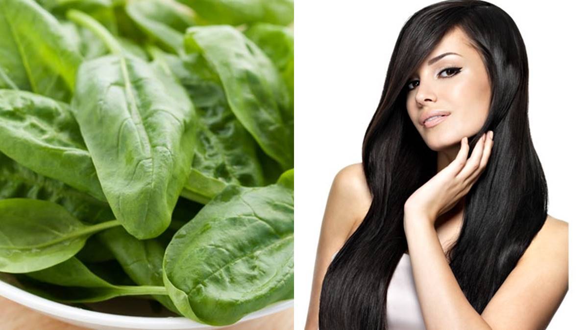  Hair Care-കരുത്തുറ്റ മുടി വേണോ? ചീര ഇങ്ങനെയൊന്ന് ഉപയോഗിച്ച് നോക്കൂ